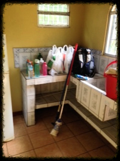 Kitchen with cleaning supplies.