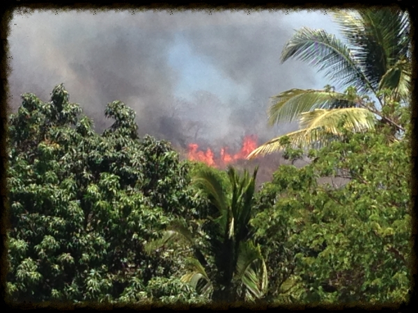 Wild fires on the mountain