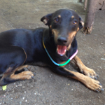 Donate to our ministry.